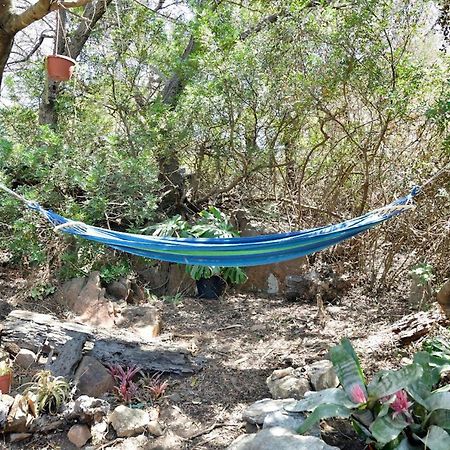 Colori Della Sardegna Διαμέρισμα Bari Sardo Εξωτερικό φωτογραφία